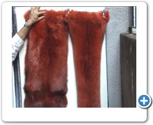 collection 11 Traforazione lineare 55
